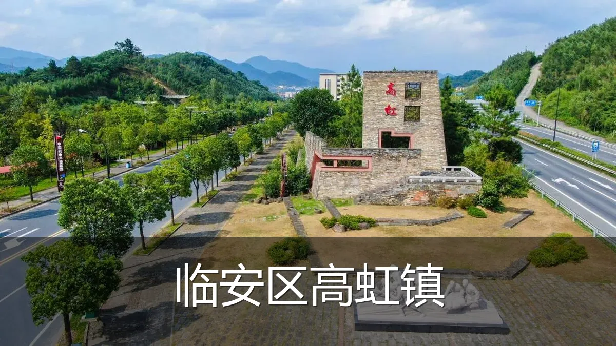 临安区高虹镇