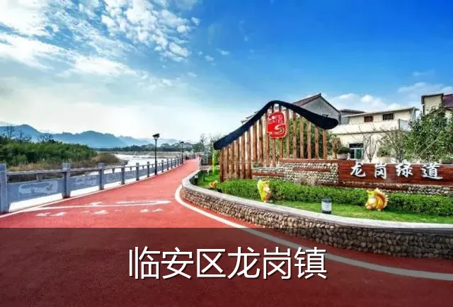 临安区龙岗镇