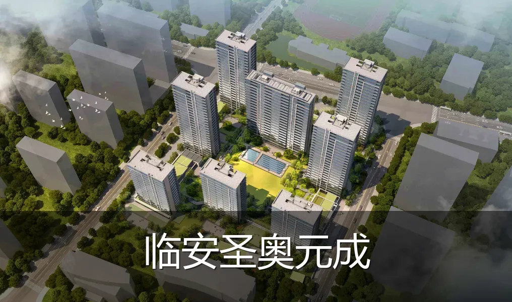 临安圣奥元成