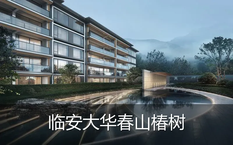 临安大华春山椿树