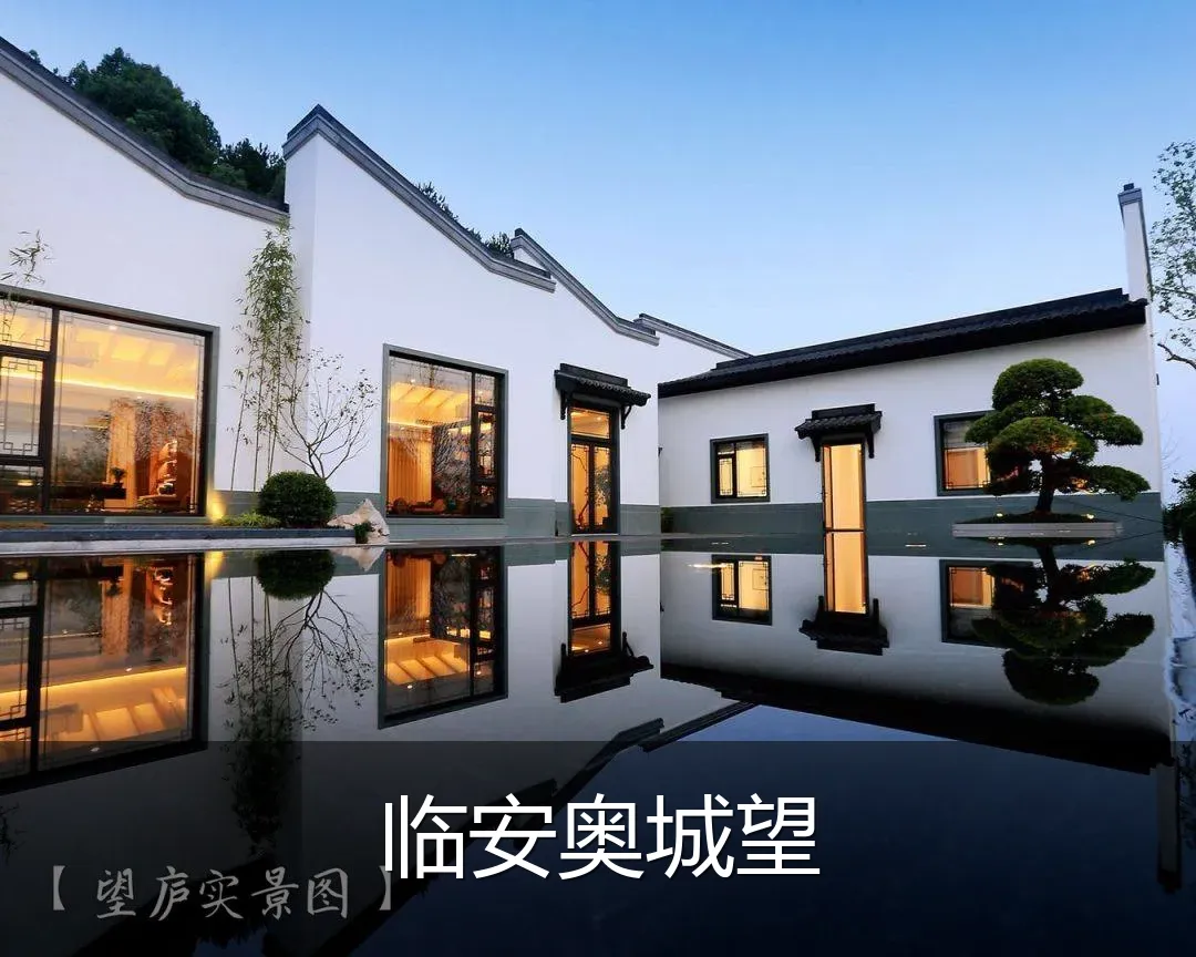 临安奥城望