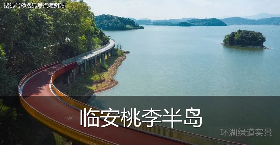 临安桃李半岛