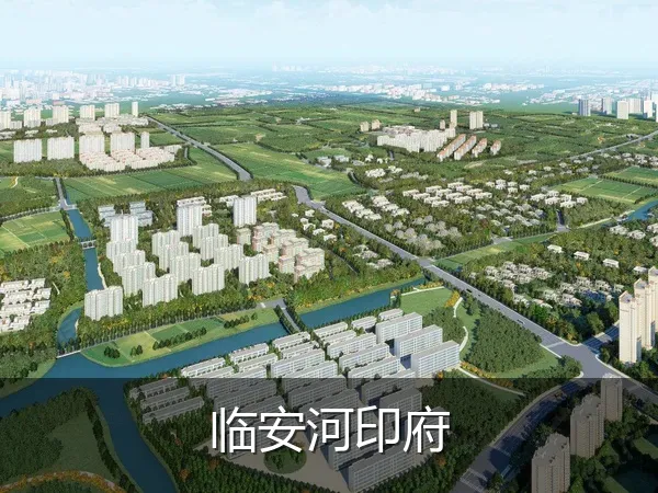 临安河印府