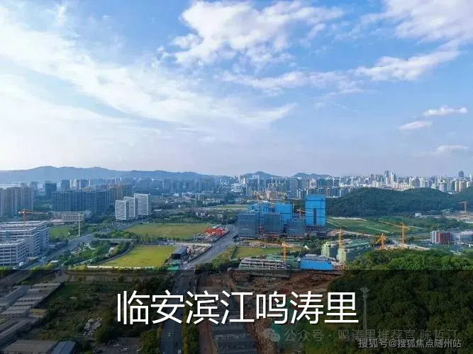 临安滨江鸣涛里